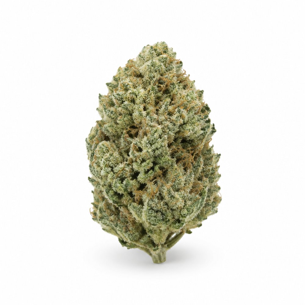 Amnesia — High Mode · 1 g