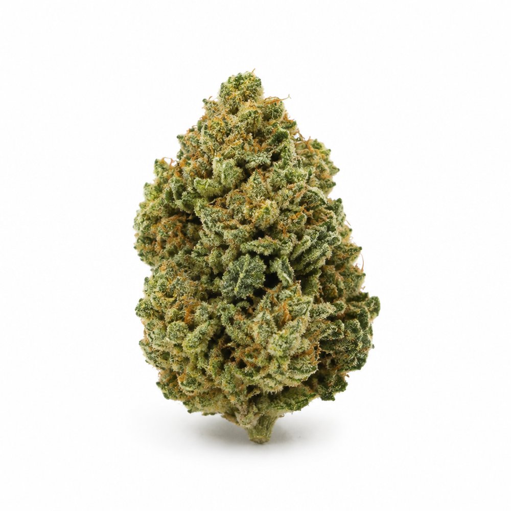 Critical — High Mode · 3 g